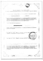 911 травмалгон гель д/тела 100мл: миниатюра сертификата