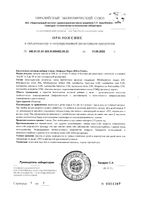 Бифицин Форте капсулы 500мг 10шт: миниатюра сертификата №2
