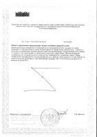 Полиневрин Артлайф таблетки 530мг 21шт: миниатюра сертификата №2