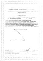 Куркумин+Витамин С+Цинк вкус апельсина VidiNur/ВидиНур таблетки шипучие 3,4г 20шт: миниатюра сертификата №2