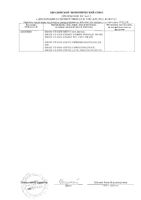 Напиток газированный магний+B6 фруктовый Oshee/Оши 250мл: миниатюра сертификата №6