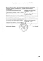 Брейнмакс капсулы 250мг+250мг 20шт: миниатюра сертификата №2