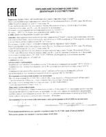 Карамель с витамином С на палочке Фруктовая фантазия 120шт: миниатюра сертификата