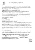 Маска с полосками от черных точек очищающая Salizink/Салицинк 50мл: миниатюра сертификата