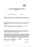 Крем для фиксации зубных протезов нежная мята Professional Corega/Корега 40г: миниатюра сертификата