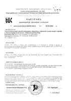 Бифидумбактерин порошок саше-пакет 3г 30шт: миниатюра сертификата №2
