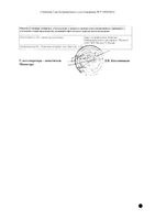 Клиофит эликсир 100мл: миниатюра сертификата №2