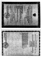 Перчатки хирургические латексные нестерильные неопудренные текстурированные анатомические с валиком SFM 100шт р.7: миниатюра сертификата
