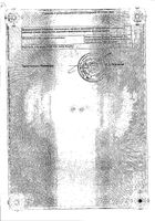 Стрепсилс с согревающим эффектом таблетки для рассасывания 24шт №2: миниатюра сертификата №49
