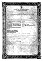 Форан конц. для ингал. раствора 100мл 6 шт.: миниатюра сертификата №2