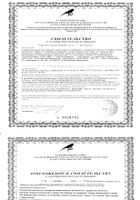 Лимонник Dr.Vistong/Др.Вистонг сироп 150мл: миниатюра сертификата №22