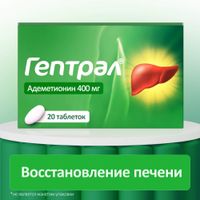 Гептрал таблетки кишечнорастворимые п/о плен. 400мг 20шт миниатюра фото №11