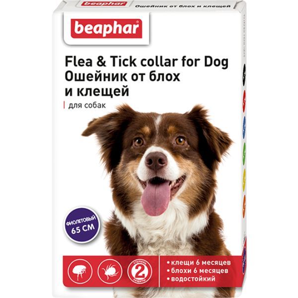 Ошейник от блох для собак фиолетовый Beaphar/Беафар 65см ошейник для собак против блох власоедов клещей биовакс в ассортименте 65 см