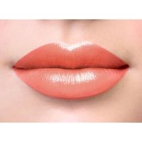 Помада-блеск для губ Divage (Диваж) Liquid Lipstick Beauty Killer № 01 5 мл