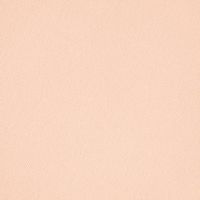 Пудра компактная Otome Compact Powder Light Pink 141 12 г миниатюра фото №3