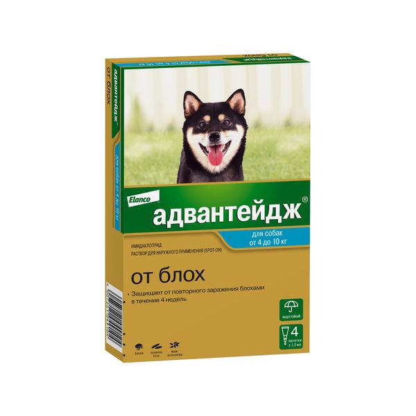 Адвантейдж 100 для собак в виде раствора для наружного применения коробка 4 пипетки х 1,0 мл KVP Pharma+Veterin 1570670 - фото 1