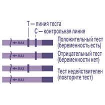 Тест-полоска для определения беременности Evitest №1 - купить по лучшей цене в Prostor