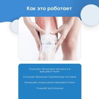 Пиакартил капсулы 300мг 30шт миниатюра фото №4