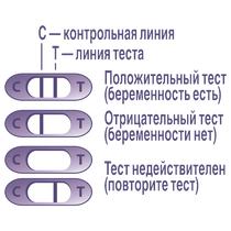 Тест струйный для определения беременности Evitest Perfect №1