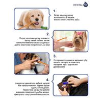 Набор Dentalpik Pets: Паста зубная для собак вкус говядина+Щетка зубная 3шт миниатюра фото №3