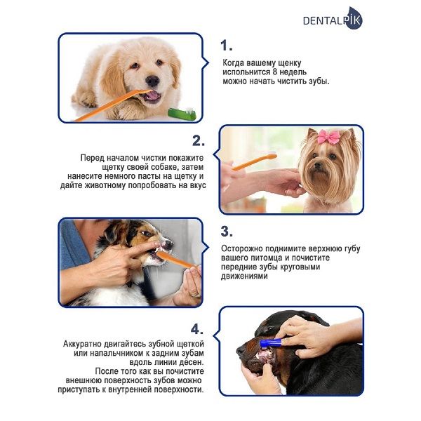 Набор Dentalpik Pets: Паста зубная для собак вкус говядина+Щетка зубная 3шт фото №3