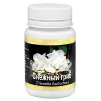 Снежый гриб Фунго-Ши капсулы 60шт, миниатюра