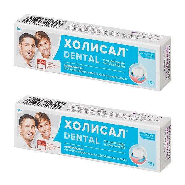 2Х Холисал дентал гель для ухода за полостью рта туба 15г