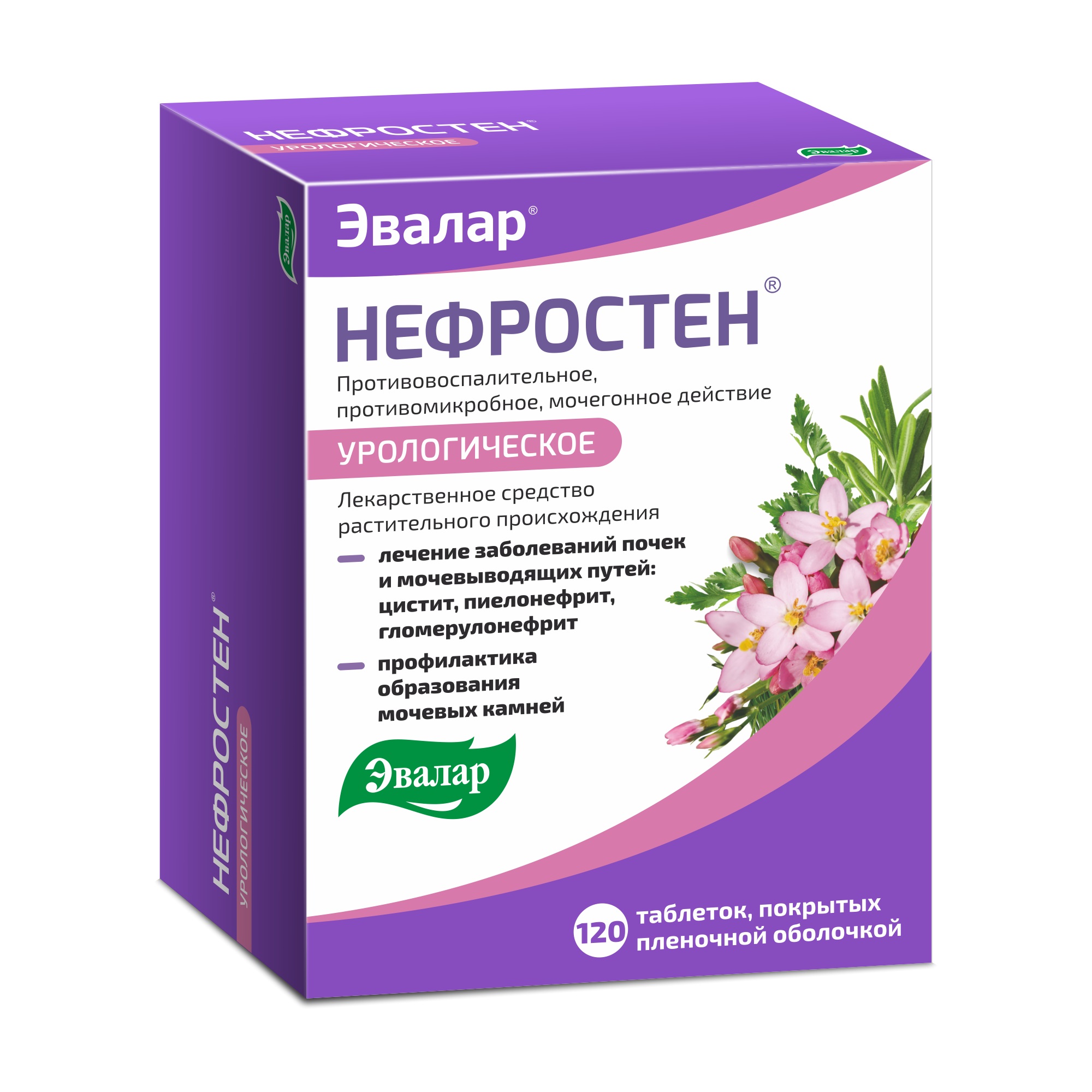 Нефростен таблетки п/о плен. 120шт купить лекарство круглосуточно в Москве,  официальная инструкция по применению