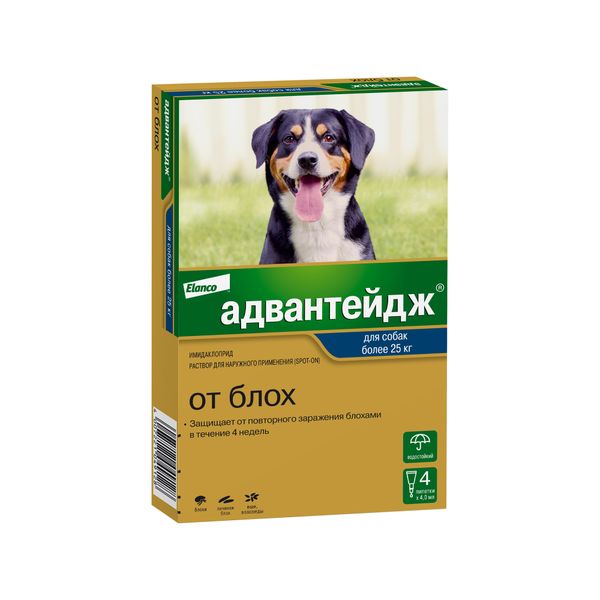 Адвантейдж 400 для собак в виде раствора для наружного применения коробка 4 пипетки х 4,0 мл KVP Pharma+Veterin 1570670 - фото 1