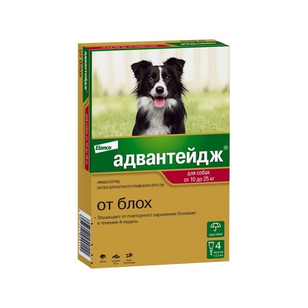 Адвантейдж 250 для собак в виде раствора для наружного применения коробка 4 пипетки х 2,5 мл KVP Pharma+Veterin 1570670 - фото 1