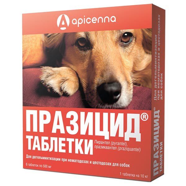 Празицид таблетки для собак 500мг 6шт ООО 