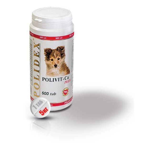 Поливит-Кальций плюс Polidex таблетки для щенков,беременных и лактирующих собак 500шт намордник для собак гамма кожанный для щенков
