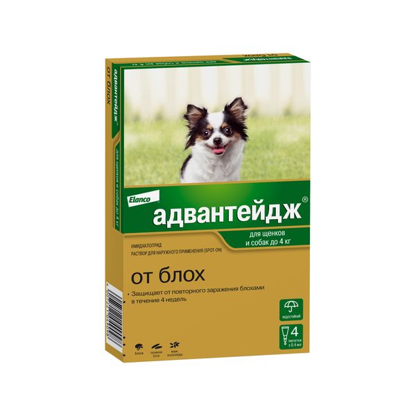 Адвантейдж 40 для собак в виде раствора для наружного применения коробка 4 пипетки х 0,4 мл KVP Pharma+Veterin 1570670 - фото 1