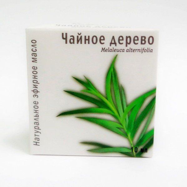 Масло эфирное натуральное чайное дерево МедикоМед фл. 10мл фото №2