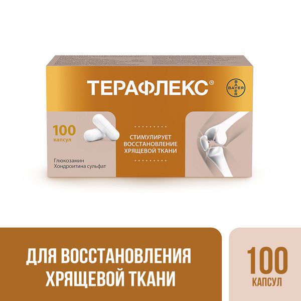 Терафлекс капсулы 500мг+400мг 100шт