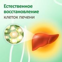 Гептрал таблетки кишечнорастворимые п/о плен. 400мг 20шт миниатюра фото №2