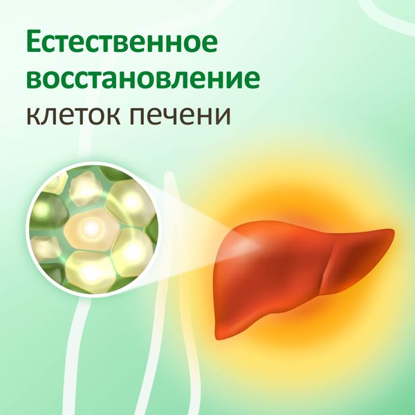 Гептрал таблетки кишечнорастворимые п/о плен. 400мг 20шт фото №2