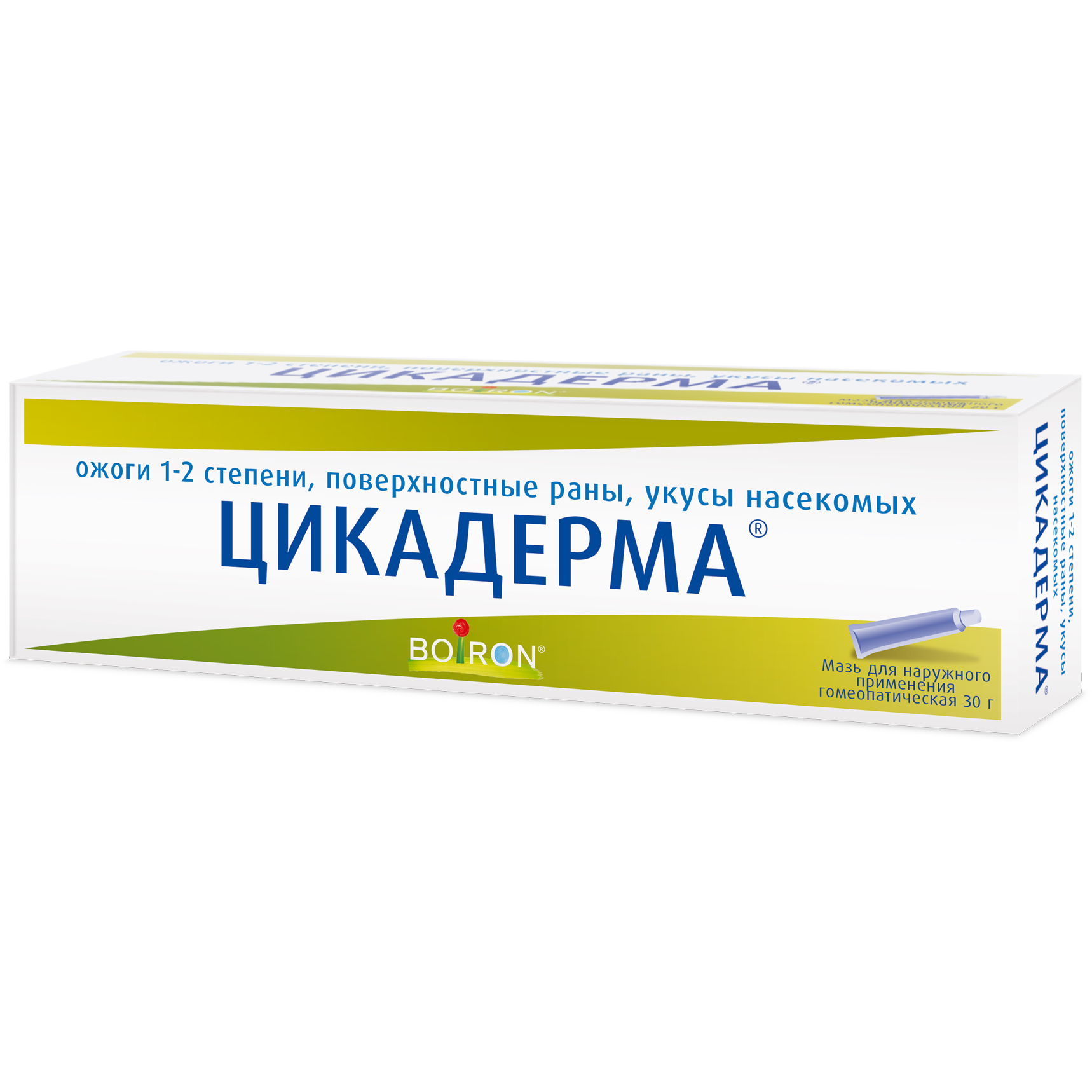 Цикадерма мазь для наружного применения гомеопатическая туба 30г купить  лекарство круглосуточно в Москве, официальная инструкция по применению