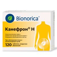 Канефрон Н таблетки п/о 120шт